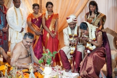Wedding photography Worcester Worcestershire Midlands / BHARKAVY + EDWIN wedding gallery