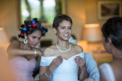 Eastnor Castle Wedding/David & Gas photo story