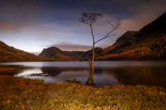 Buttermere the lone tree/Lake District Landscape Photography
