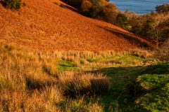 Skiddaw Cat Bells /Lake District Landscape Photography