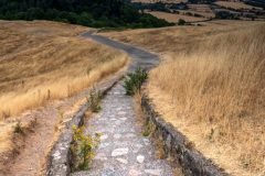 Malvern Hills landscape photography from sunrise walks—stunning prints of British Camp and Swinyard Hill