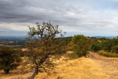 Malvern Hills photography capturing dramatic ridges, British Camp and Swinyard Hill