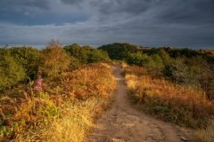 Malvern Hills landscape photography from sunrise walks - stunning prints of British Camp & Swinyard Hill.