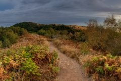 Swinyard Hill landscape photography