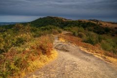 Swinyard Hill, Malvern Hills photography