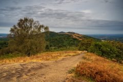 Swinyard Hill, Malvern Hills photography