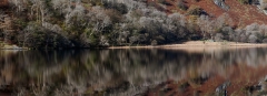 Panoramic Photography Wales / Llyn Gwynant Welsh Winter landscape photography prints for sale