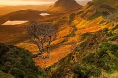 Quiraing Autumn sunrise. Experience the magic of the Isle of Skye and Scottish Highlands in your space.