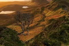 Quiraing Autumn sunrise on the Isle of Skye. Transform your space with stunning Scottish Highlands landscape photography.