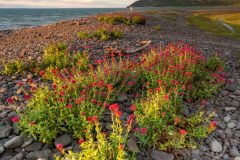 Porlock Weir Beach, Somerset