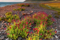 Porlock Weir Beach, Somerset