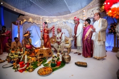 Worcestershire wedding photographer / VEENA + KRIS wedding gallery from Worcester based photographer