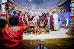 Worcestershire wedding photographer / VEENA + KRIS wedding gallery from Worcester based photographer