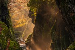 FAIRY GLEN Betws-y-Coed/Wales Landscape Photography prints for sale