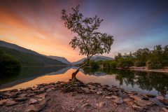 Llyn Padarn Lake, Llanberis North Wales canvas prints for sale