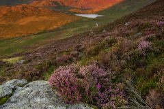 Snowdon summit Crib Goch canvas prints for sale. Snowdon summit Crib Goch canvas prints for sale.