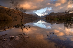 Wales Landscape Photography/ Lone Tree Llyn Padarn, Llanberis North Wales