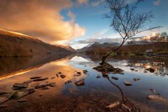 Wales landscape photography/Lone Tree Llyn Padarn Llanberis North Wales landscape photography prints for sale Wales landscape photography/Lone Tree Llyn Padarn Llanberis North Wales landscape photography prints for sale