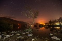 Lone Tree Llyn Padarn Llanberis North Wales /canvas sprints for sale