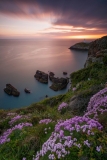 Landscape photography Wales/ South Stack Lighthouse at Spring