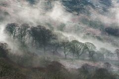 Wales Landscape Photography / Llyn Gwynant Snowdonia Wales landscape photography prints for sale