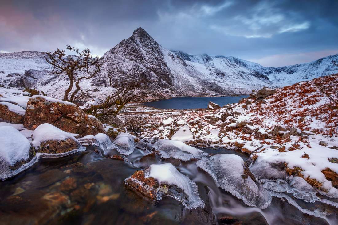Christmas gifts prints for sale discount code!